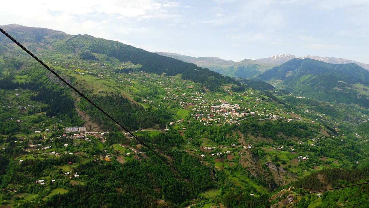 Chakvi Tea Plantations & the Story of Georgian Tea
