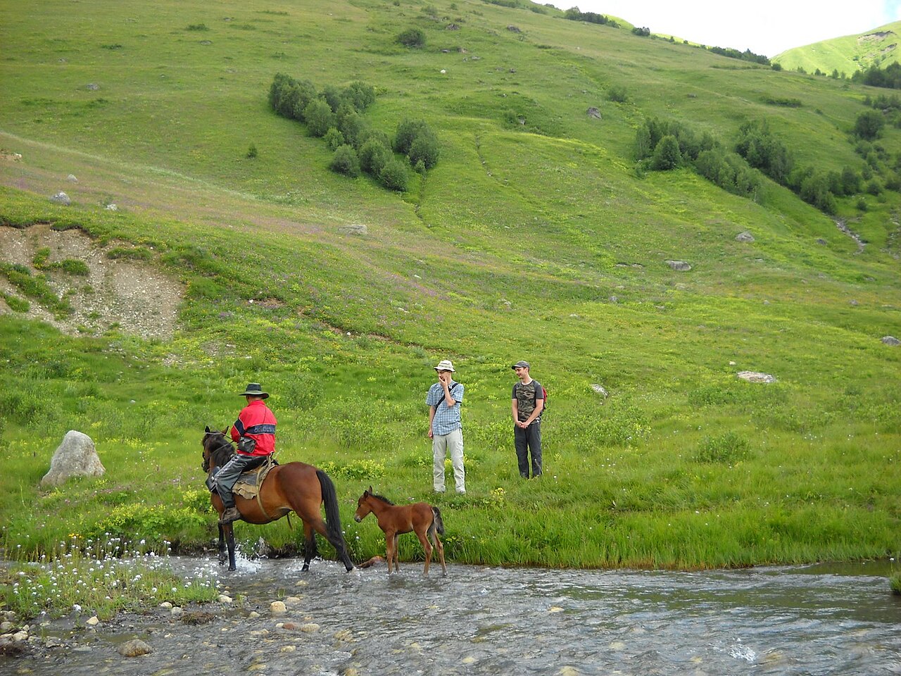Svaneti Trek: Mestia to Ushguli in 5 Days